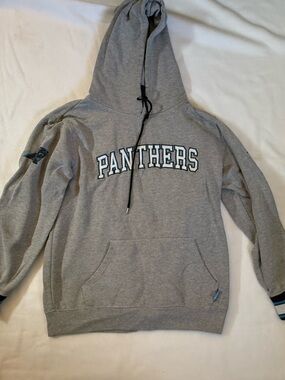 Panthers Grey Hooded Sweatshirt - Team Pullover size large